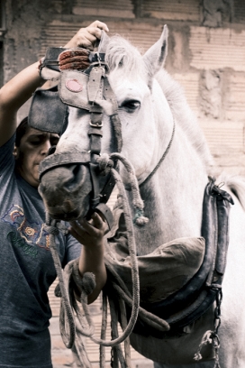 英国Poor Horse Soho Magazine 苏豪杂志-可怜的马与车夫电影效果摄影欣赏