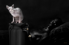分享保加利亚SOOO珠宝首饰与动物结合黑色平面广告作品欣赏