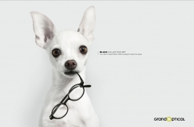 美国Nearsightedness Dog GRAND PTICAL近视眼宠物狗宣传广告欣赏