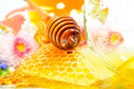 高清晰蜂蜜蜂巢图蜂浆片壁纸