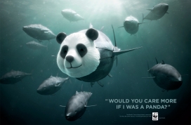 国际WWF Bluefin Tuna overfishing世界自然基金会平面广告