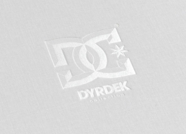 DC Rob Dyrdek RD1 Limited Edition限量版运动鞋包装