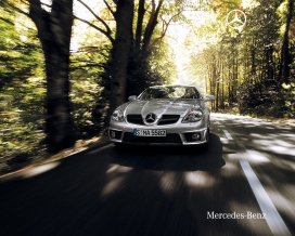 梅德赛斯奔驰Mercedes-Benz SLK 55高清晰跑车壁纸