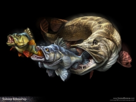 Fish Art鱼插画-丹麦维堡Tommy Kinnerup插画师作品