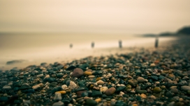 沙滩漂亮的鹅卵石