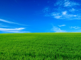 幸福的一天-蓝天绿草壁纸