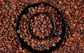 coffee beans咖啡豆图形