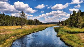 漂亮的小溪河流与两岸自然美景
