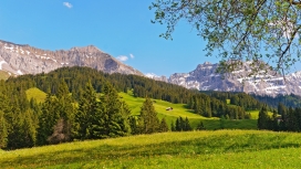 高清晰瑞士绿山自然风景壁纸