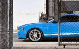 高清晰蓝色福特野马shelby-GT500汽车壁纸