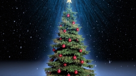 高清晰可爱的圣诞树