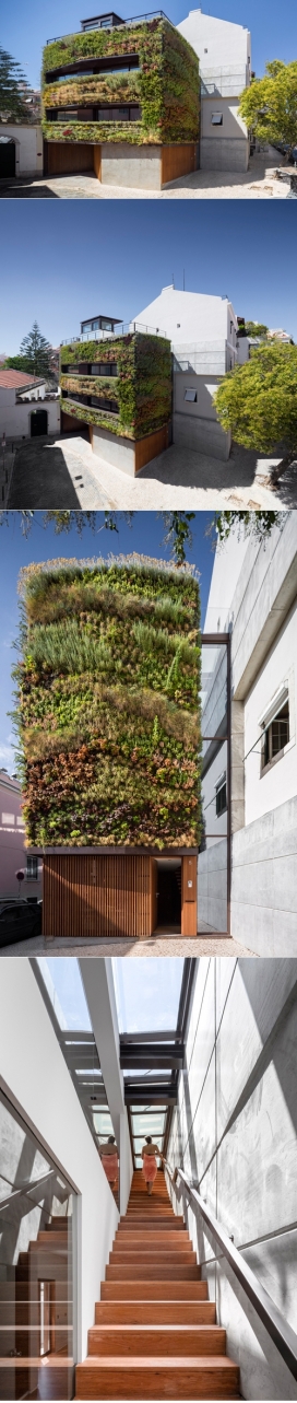 绿色植物公寓-坐落在葡萄牙里斯本，郁郁葱葱的垂直花园外观和屋顶游泳池，一楼是车库，含约25种不同的伊比利亚半岛和地中海植物品种，给建筑增加纹理和香味。Rebelo de Andrade建筑师作品