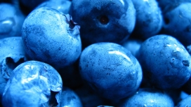 高清晰蓝莓水果壁纸