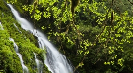 绿色山瀑布
