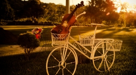 公园里面的自行车与小提琴壁纸