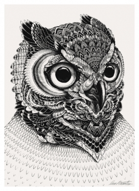 Owl猫头鹰笔墨手绘插画