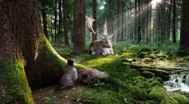 童话森林-躲在森林大树下观察鹿的女孩