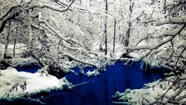雪花树与深蓝河