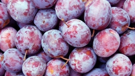 紫红李子水果