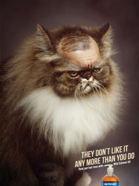 宠物脱发不在怕-Nutrivet脱发水平面广告