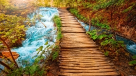 童话般唯美的木桥路