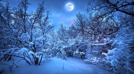 2014新年前夕-蓝色冬季森林