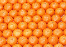 橘子水果壁纸