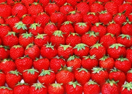 新鲜红色草莓水果壁纸