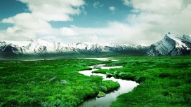 冰川雪山下的山区绿色河流本科植物