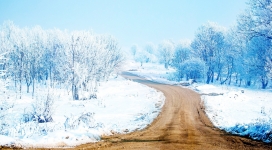 冬季白色风景黄泥路