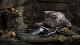 猫的鱼晚餐