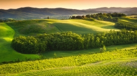 美丽的意大利绿色山丘风景