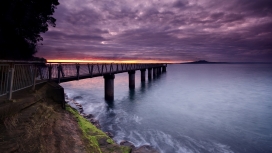 自然海紫桥