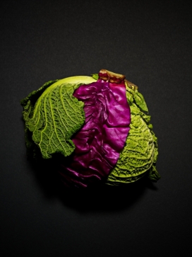 简单但有趣的组合-点和线蔬菜静物微妙抽象摄影