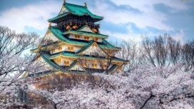 日本大阪城堡寺庙壁纸