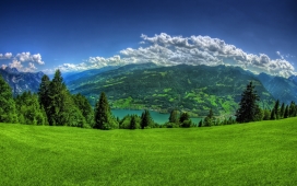 绿色草坪山