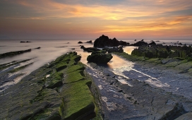 西班牙日落海洋藻类岩石