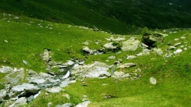 草绿色的山石小溪