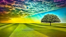 卡通彩虹天空下的草地树