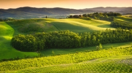 意大利的美丽绿色山丘景观