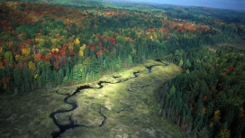 秋季森林蜿蜒河流壁纸