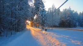 冬季阳光雪路壁纸