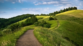 高清晰绿色山丘弯曲小路美景