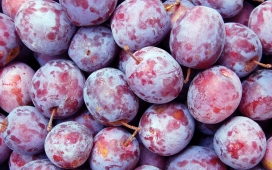 plums-高清晰熟透了带白粉的李子