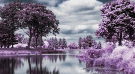 高清晰紫色湖林美景