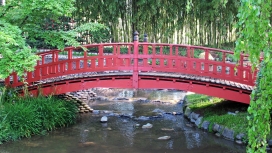 日本红树木质拱桥