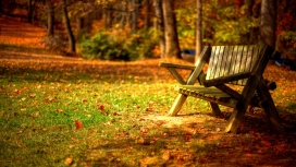 高清晰秋季森林摇椅壁纸