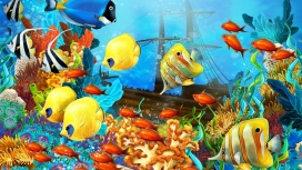 鱼的绘画世界