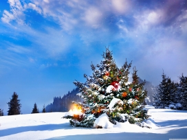 高清晰蓝天雪景下的圣诞树壁纸