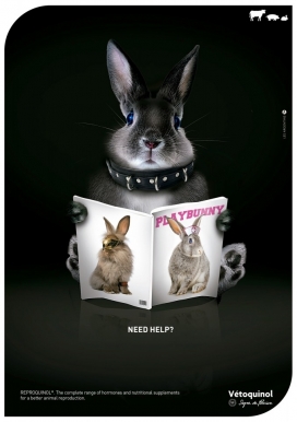 Reproquinol动物繁殖激素和营养补充剂平面广告